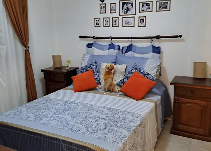 Apartament z 1 sypialnią